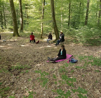 une sophro-balade animée près de Bourgtheroulde, un moment de contemplation et de ressources pour évacuer les tensions physiques et psychiques.