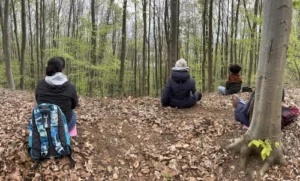 votre sophrologue à Rouen se forme aux sophro-balades pour vous proposer par la suite des animations en forêt et prendre le temps d'observer et de contempler la forêt plutôt que juste la regarder