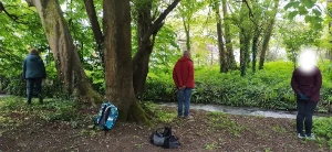 Photo d'une sophro-balade près de Rouen, au bord du Cailly dans le parc du musée de la corderie vallois