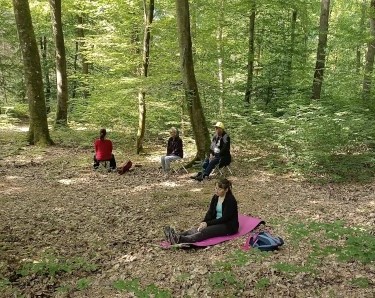 Photo d'une séance de sophrologie en forêt, autrement appelée sophro-balade, qui se déroule près de Rouen et est une approche plus ludique de la sophrologies en profitant de la connexion avec la nature.